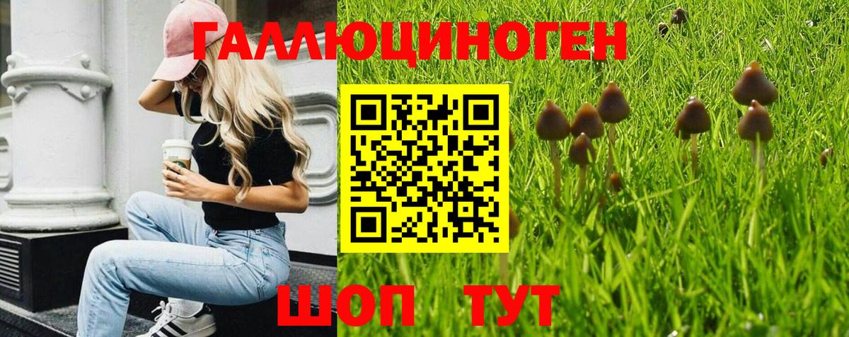 Галлюциногенные грибы мицелий Нижнекамск